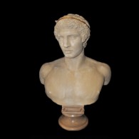 3. Antonius - old white 3. Antonius - old white